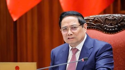 Thủ tướng Phạm Minh Chính: Đánh giá tổng thể phát triển các đặc khu kinh tế Vân Đồn, Vân Phong và Phú Quốc