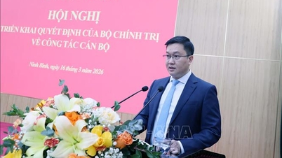 トラン・ダン・クイン同志は、ニンビン省党委員会の副書記を務めている。