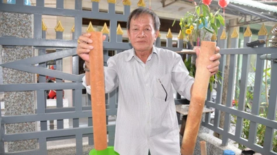 Centrarse en mejorar la calidad del agua potable en la estación de suministro de agua de Thanh Thoi A - Dong Son.