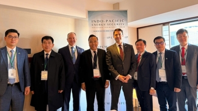 Nguyễn Hoang Long miniszterhelyettes részt vett a japán Indo-Csendes-óceáni Energiabiztonsági Fórumon.