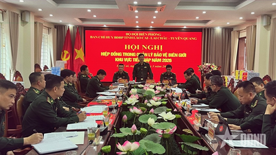 Provinsi Lao Cai, Lai Chau, dan Tuyen Quang bekerja sama dalam mengelola dan melindungi perbatasan.