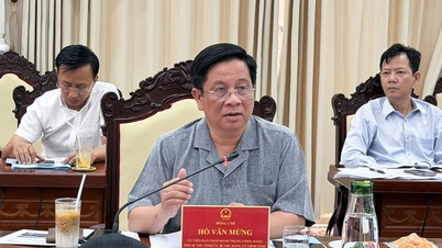 An Giang collaborates with CT Group on the development of science, technology, innovation, and digital transformation.