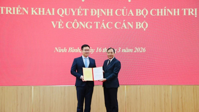 Ninh Binh implementează deciziile Biroului Politic și ale Secretariatului privind chestiunile de personal.