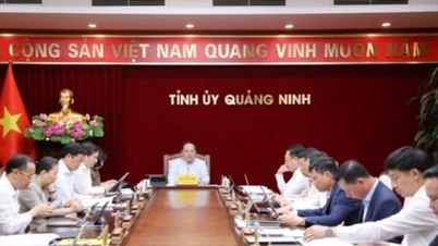 Quang Ninh successfully organized the election comprehensively.