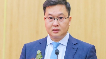 Herr Tran Dang Quynh er utnevnt til visesekretær for Ninh Binh provinsielle partikomité.
