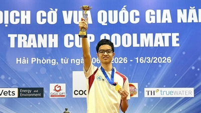 Olympia-deelnemer wordt Vietnamees schaakkampioen.