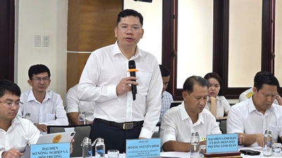 Wiceprzewodniczący władz Ho Chi Minh City, Hoang Nguyen Dinh: Uniwersytet Narodowy powinien niezwłocznie wystąpić o zaliczkę na odszkodowania dla 1500 gospodarstw domowych.