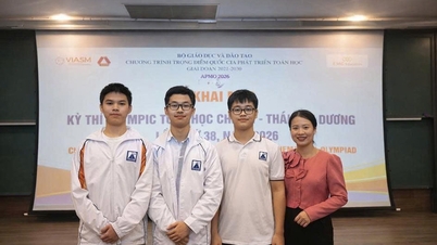 Two students from Hanoi made it into the Top 10 highest-scoring participants in the Asia-Pacific Mathematical Olympiad in Vietnam.
