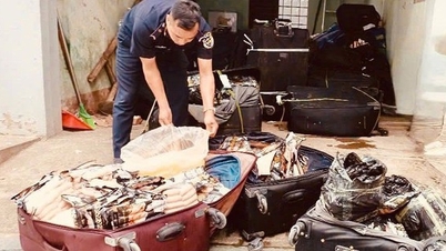 کسٹم حکام نے شمالی سرحد سے اسمگل شدہ 1.8 ٹن سے زیادہ منجمد خوراک دریافت کی۔