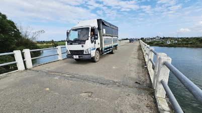 Driving forces for development on both banks of the Bo River.