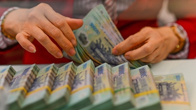 Muitas empresas de capital aberto reduziram inesperadamente suas metas de lucro para 2026.