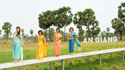 ទស្សនាព្រៃឈើក្រោមដើមត្នោត។