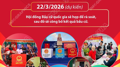ការបោះឆ្នោតរដ្ឋសភា និងក្រុមប្រឹក្សាប្រជាជន៖ ការបោះឆ្នោតនេះទទួលបានជោគជ័យយ៉ាងធំធេង។