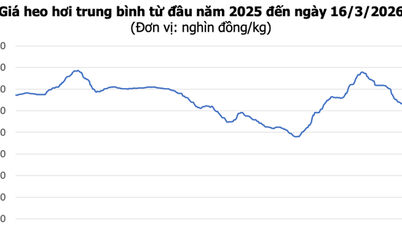 Svinekjøttpriser 16. mars: Markedet holder seg stabilt, høyeste pris på 66 000 VND/kg.