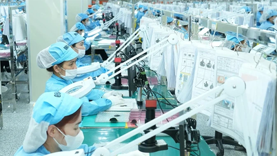 Phú Thọ tiếp tục là điểm đến hấp dẫn của các nhà đầu tư quốc tế