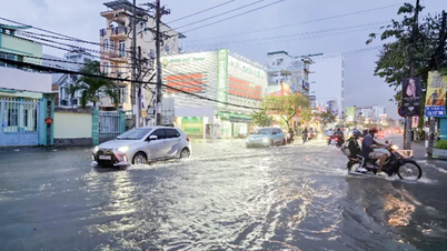 Attentes liées au projet de résilience climatique et de transformation intégrée du delta du Mékong