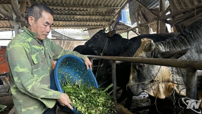 Aprovechar el potencial de la ganadería extensiva.