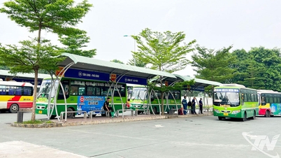 The transportation sector maintains its growth momentum.