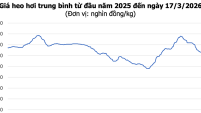 Pork prices today, March 17th: Prices in the North increased by 2,000 VND/kg, the market is showing signs of improvement.