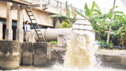 জলবায়ু পরিবর্তনের প্রতিক্রিয়া জানাতে সক্ষমতা বৃদ্ধি করা।