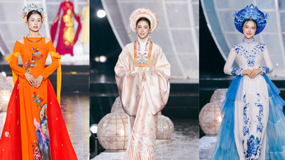 The ao dai has become a 'language' for telling the story of Vietnam's heritage.