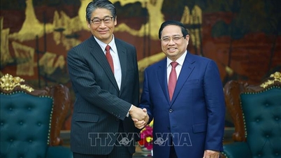 El primer ministro Pham Minh Chinh solicitó el apoyo de Japón para garantizar la seguridad energética de Vietnam.