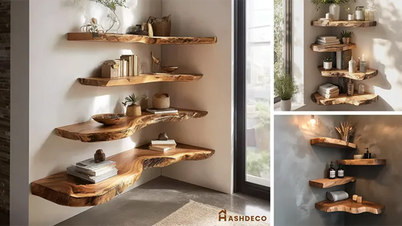 Ashdeco ແລະແນວໂນ້ມຂອງຊັ້ນວາງໄມ້ຕິດຝາໃນພື້ນທີ່ດຳລົງຊີວິດທີ່ທັນສະໄໝ.