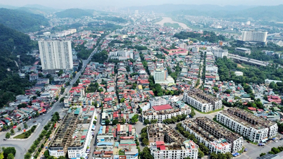 Lao Cai Ward fokuserar på olika lösningar för att öka budgetintäkterna under 2026.