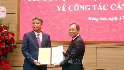 Herr Nguyen Manh Quyen er utnevnt til stillingen som visesekretær for Hung Yen provinsielle partikomité.
