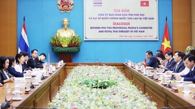 Phu Tho - Thaïlande : développement des secteurs économique, commercial et touristique.