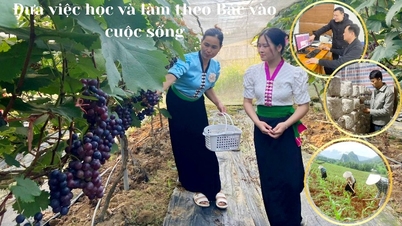Bringing the study and emulation of President Ho Chi Minh's teachings into life.