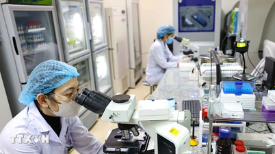 Resolución 57: Generar un nuevo impulso para el desarrollo de la ciencia, la tecnología y la innovación.