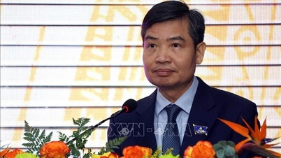 타 안 투안 씨가 재무부 차관으로 임명되었습니다.