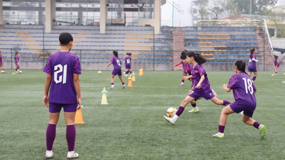Vietnam U15 kadın milli takımı Avustralya'da düzenlenen uluslararası bir turnuvaya katılıyor.