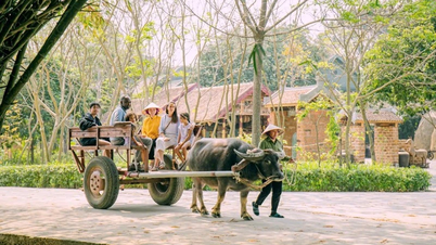 Menukar perjalanan kereta lembu menjadi pengalaman pelancongan.