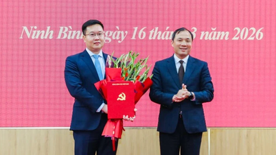 Assistent for generalsekretæren - Tran Dang Quynh er utnevnt til visesekretær for Ninh Binh provinsielle partikomité.