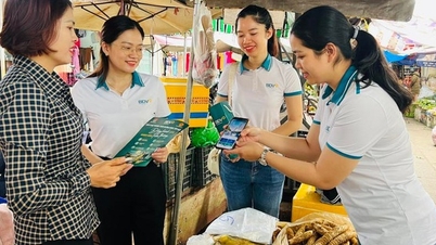 Gia Lai aims for the digital economy to account for 20% of its GRDP by 2026.