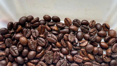 Precios del café hoy, 17 de marzo de 2026: Los precios del café de Central Highlands aumentan ligeramente, mientras que los del café arábica suben bruscamente.
