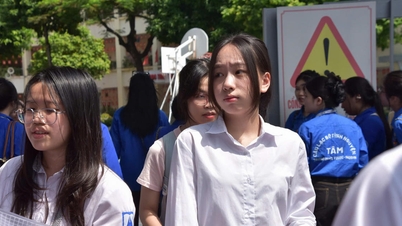 教員養成課程を選択する際に、志願者が知っておくべき新たな規制。