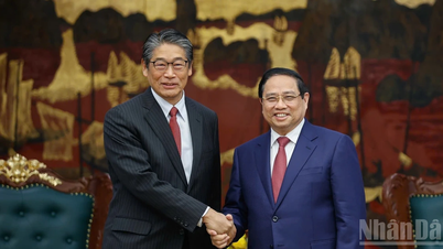 Vietnam espera que Japón le apoye para garantizar su seguridad energética.