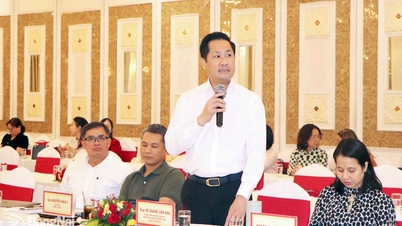 Vietravel proposes researching and investing in a 5-star hotel in Dong Nai.