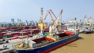 Navio transportando equipamentos de grandes dimensões e com excesso de peso atraca no porto de Hoang Dieu Chua Ve.