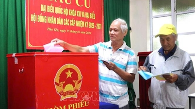 Công bố kết quả bầu cử và danh sách trúng cử đại biểu HĐND tỉnh Đắk Lắk
