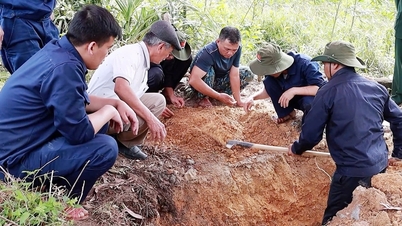 Le comité directeur 515 de la ville a inspecté les tombes des soldats tombés au combat en vue de tests ADN.