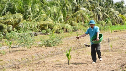 The coconut industry is moving towards green production.