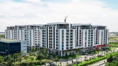 Ho Chi Minh-stad: Standaardisering van procedures voor de uitvoering van sociale woningbouwprojecten.