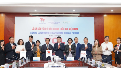 TCL becomes an official partner of the Vietnam Olympic Committee.