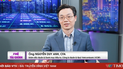Mercado de ações vietnamita: Maior profundidade, reforçando a resiliência contra a volatilidade.