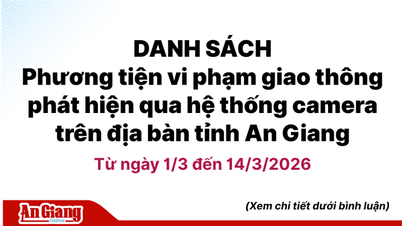 Infractions routières détectées par les systèmes de caméras dans la province d'An Giang du 1er au 14 mars 2026.