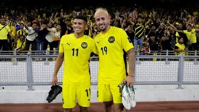 Az AFC döntése szerint Malajzia 0-3-ra kikapott Vietnamtól és Nepáltól.